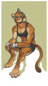 portfolio_Boxer
