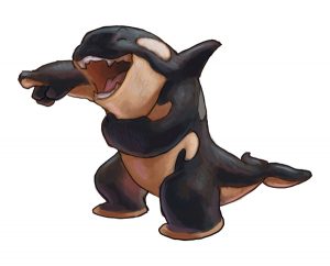 portfolio_Laughing orca