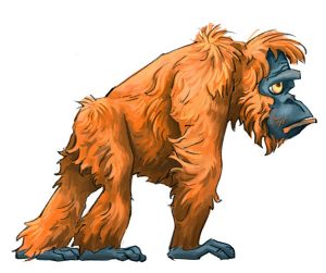 portfolio_Orangutan female1