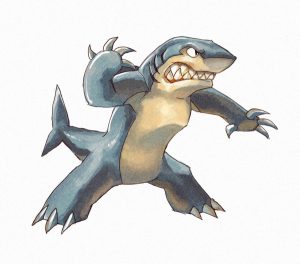 portfolio_Shark